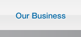 Our Business