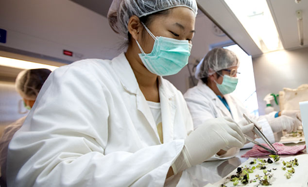 Dole’s employs over 50 scientists who work to improve product quality and reduce potential risks to workers and the environment.