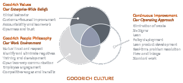 Diagram: Goodrich Culture