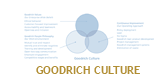 Diagram: Goodrich Culture
