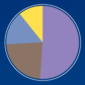 pie chart