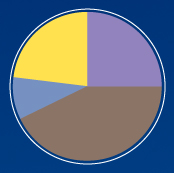 pie chart