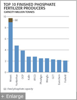 Top 10 Finished Phosphate Fertilizer Producers Graph