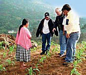 A corn plot in Guatemala