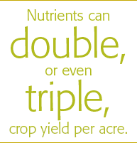 Nutrients can double or even triple crop yield per acre