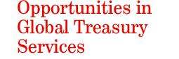 Opportunities in Global Treasury Services