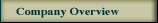 Company Overview