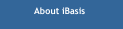 About iBasis