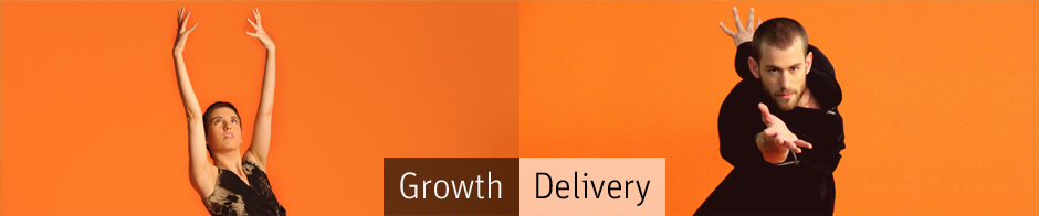 Investor Relations Growth and Delivery