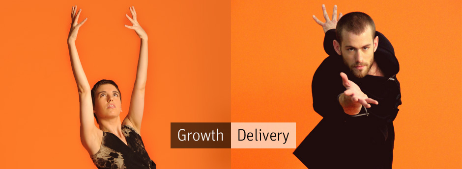 Investor Relations Growth and Delivery