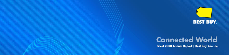 Best Buy - Fiscal 2008 Annual Report