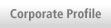 Corporate Profile