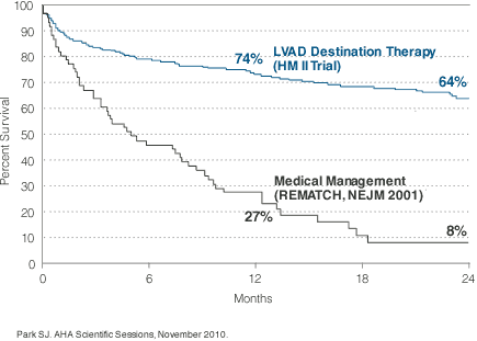 DT Survival Chart