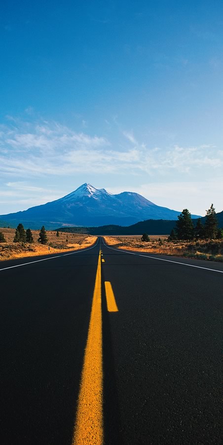 AFC Enterprises, Inc. 2006 Annual Report