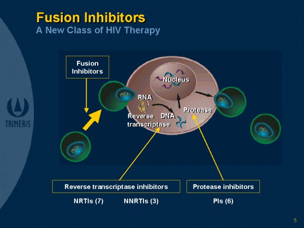 Fusion Inhibitors