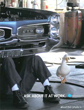 ASK ABOUT IT AT WORK -- about this photo