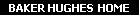 Baker Hughes Home