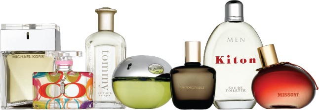 Signature Donna Karan perfume - a fragrance for women 2008