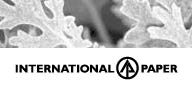 International Paper