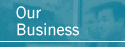 Our Business