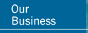 Our Business