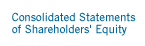 Consolidated Statements of Shareholder's Equity