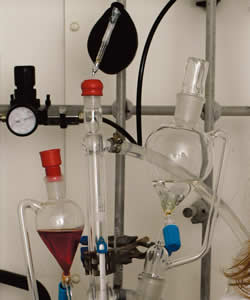 Financial Highlights