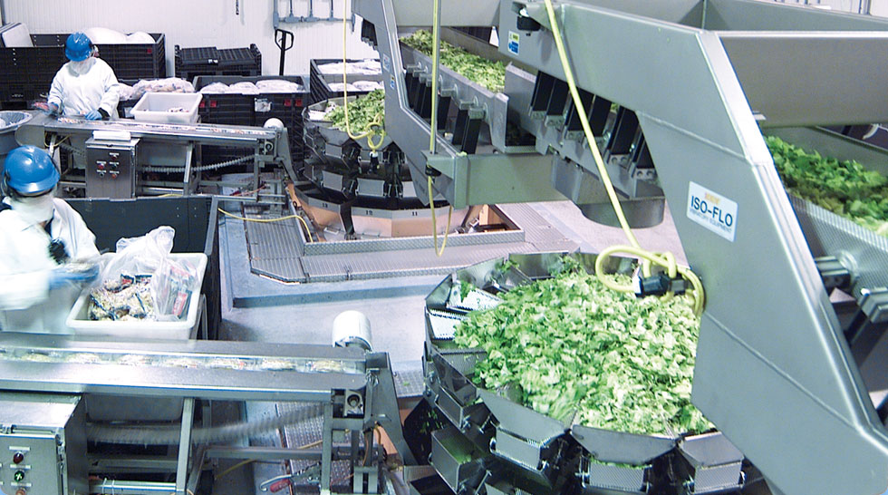 Salad processing at Dole’s Springfield, Ohio plant.