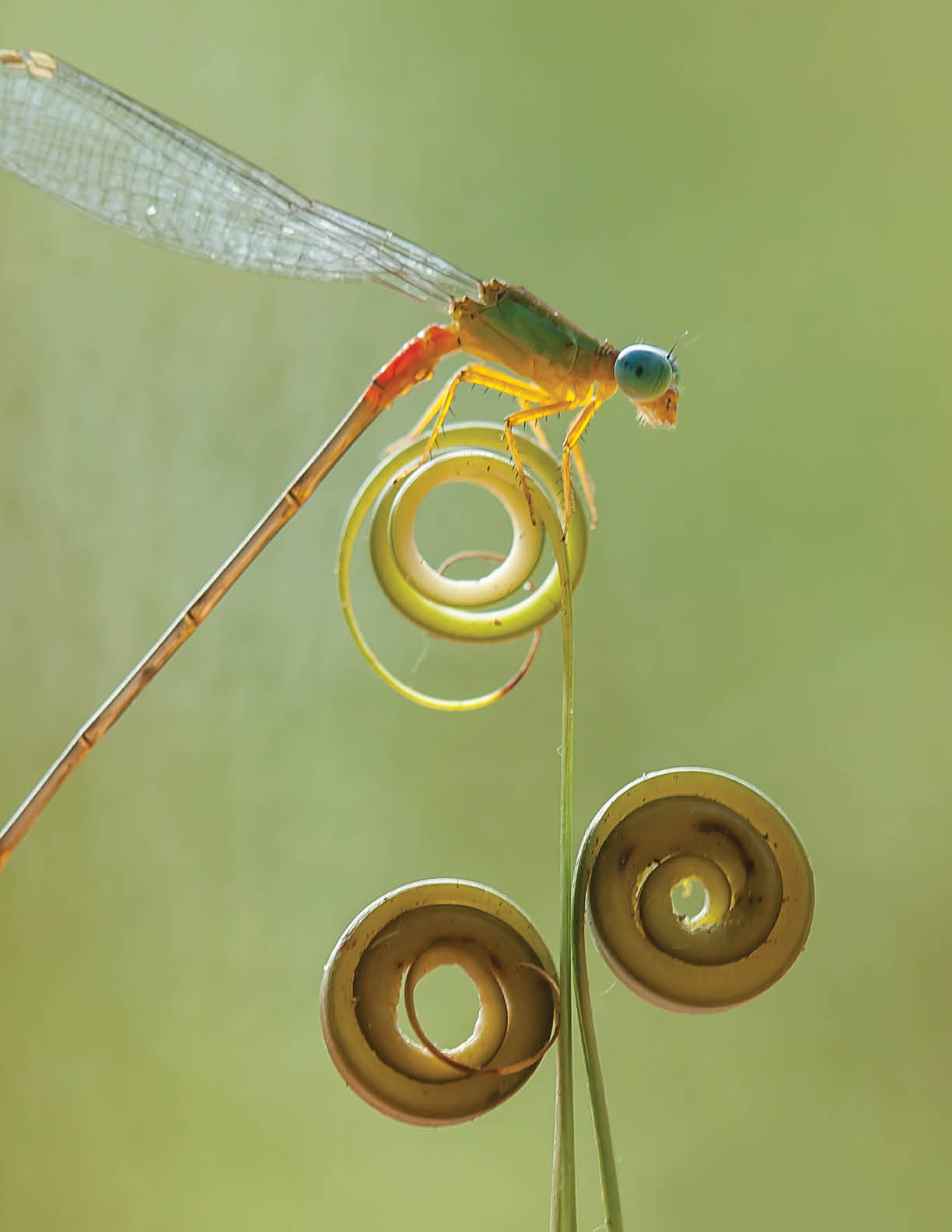 Photo taken in Buntok, Indonesia