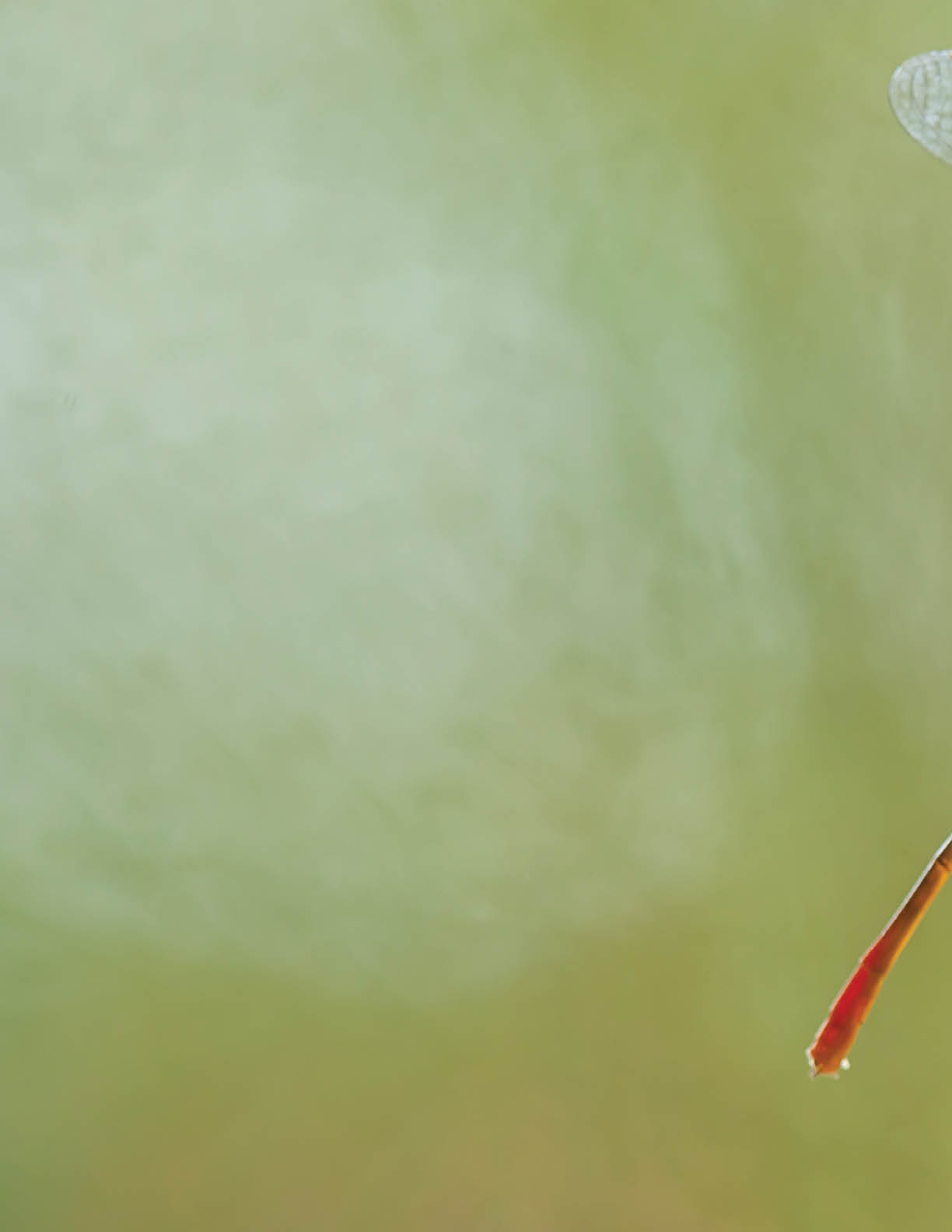 Photo taken in Buntok, Indonesia