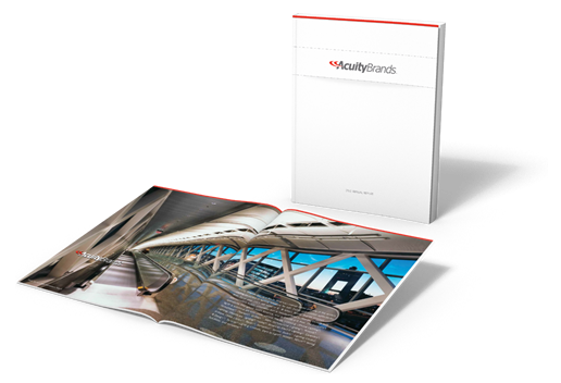 2011 Online Annual Report