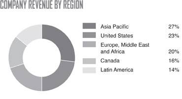 Company Revenue By Region