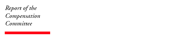 Duke Energy Proxy 2003