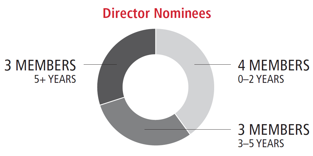 Director Nominees
