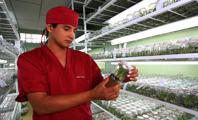 Dole’s employs over 50 scientists who work to improve product quality and reduce potential risks to workers and the environment.