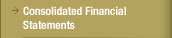 Consolidated Financial Statements