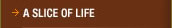 A Slice of Life