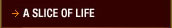 A Slice of Life