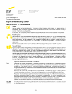 Report of the Statutory Auditor on the Financial Statements